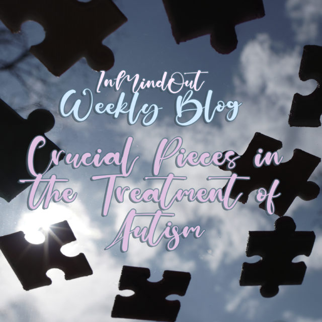 Crucial pieces in the treatment of autism