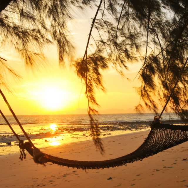 A mesh hammock hanging in palm trees on a beach at sunset.