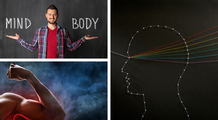 The Mind Muscle Connection Bicep, outline of a profile